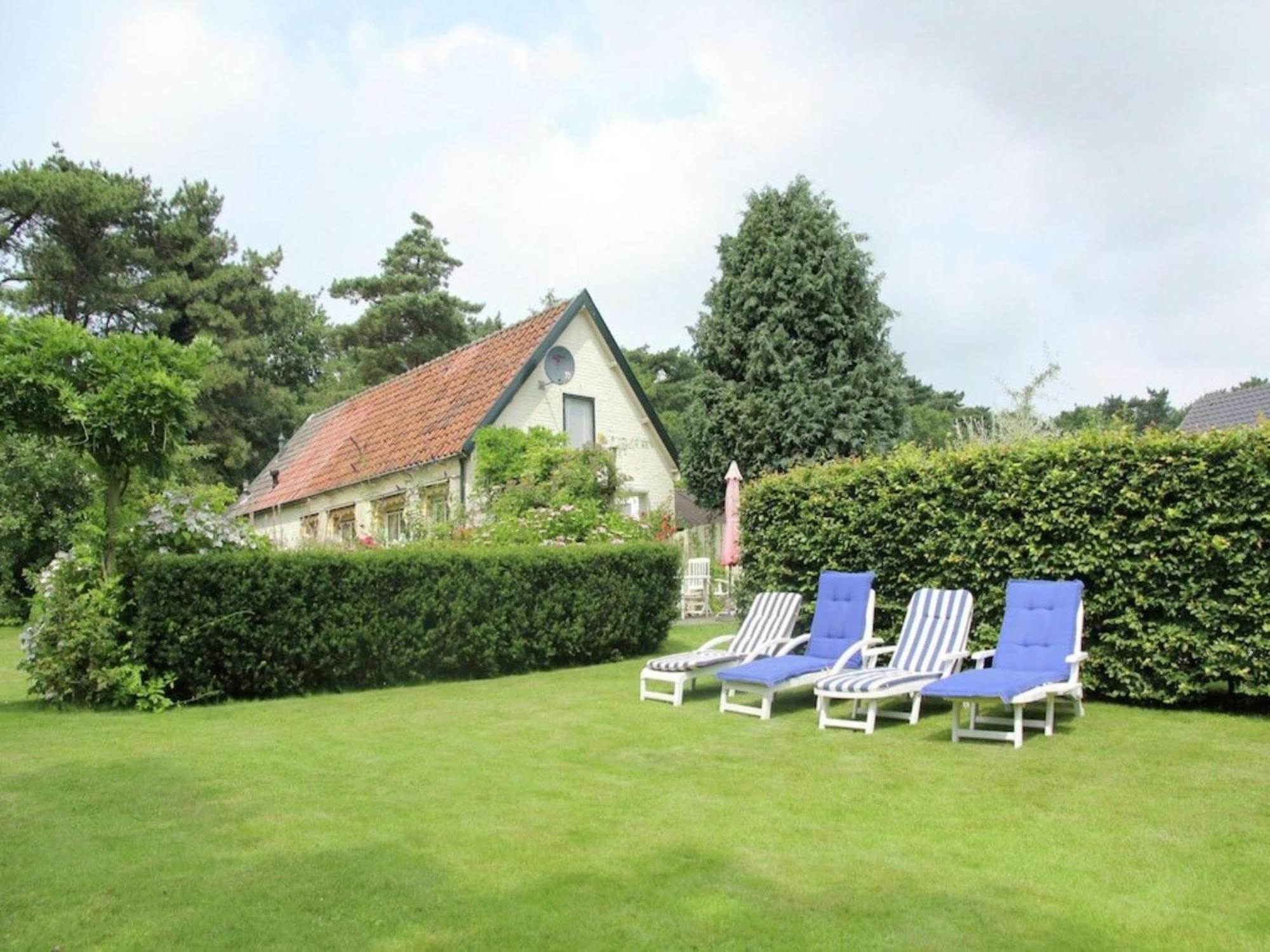 Vila Bonte Specht Schoorl Exteriér fotografie